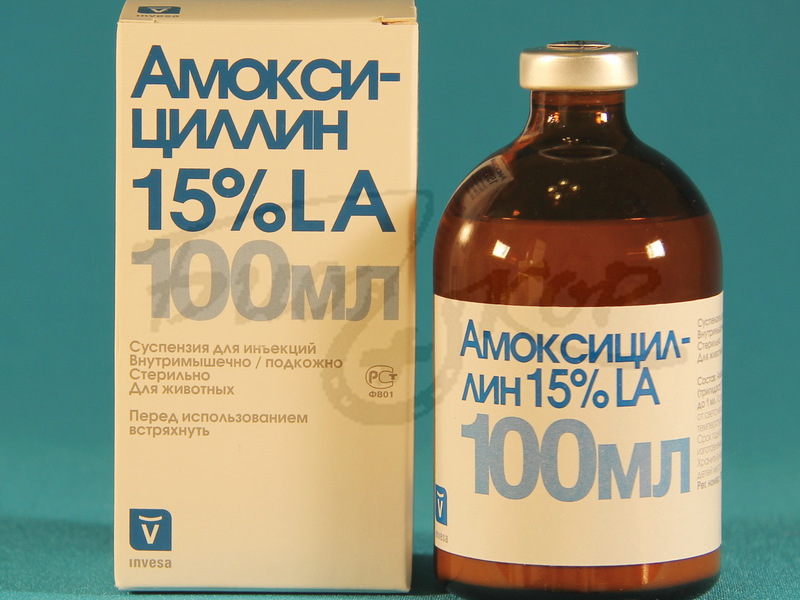 Амоксициллин 100 мл