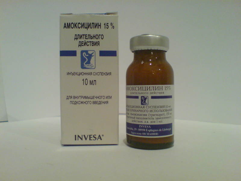 Амоксицилин для введения подкожно