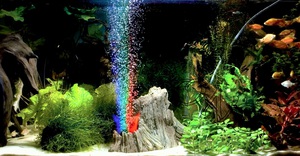 Аквариум с подсветкой