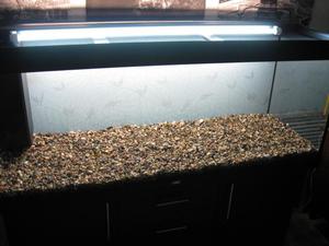 Какие грунты лучше для аквариума