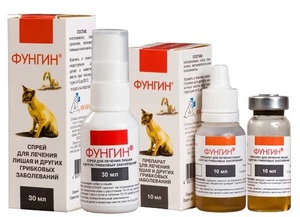 Состав и форма выпуска препарата Фунгин